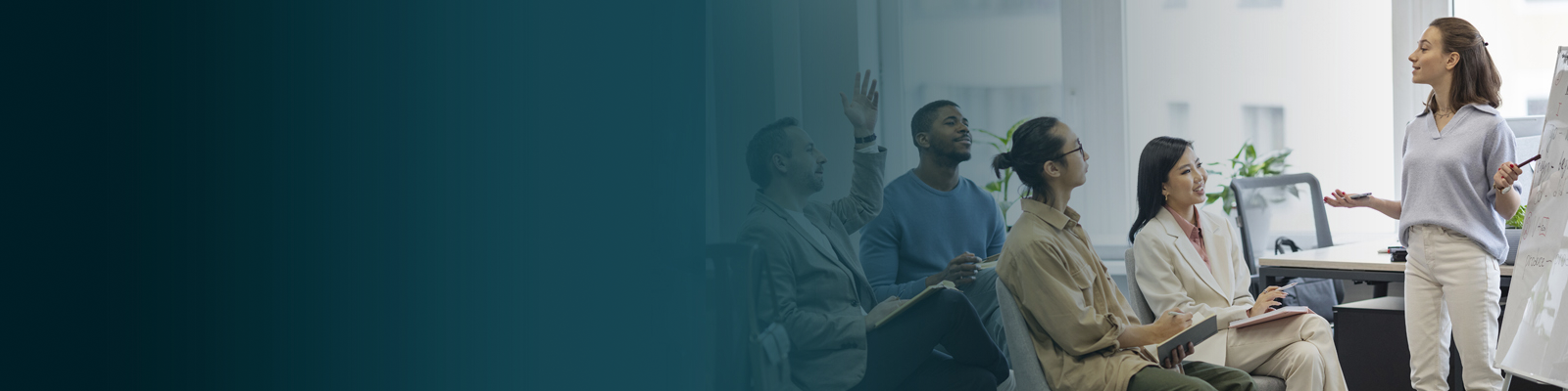 Executive Coaching & Mentorship Initiatives